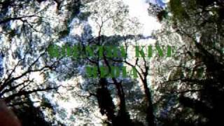 Bodyboarding - Perilous Times