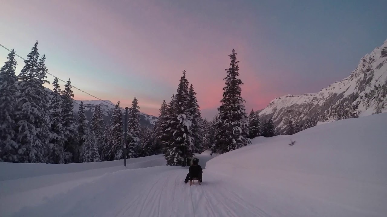 Experience the captivating highlights at Fox Run adventure.