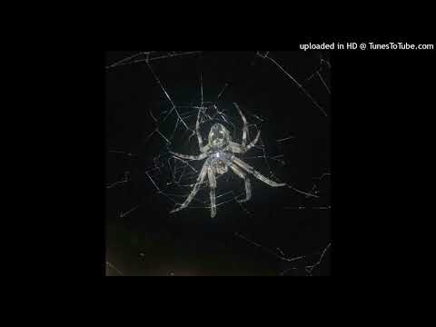 [free] hyperpop x draingang x bladee type beat -  [Prod. innsmouth x methboiswag x silver]