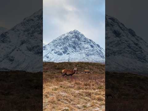 EXPLORING THE SCOTTISH HIGHLANDS #scotland #outdoors #nature #scottishhighlands #fyp
