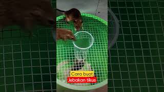 Download lagu Mouse trap | jebakan tikus #shorts mp3