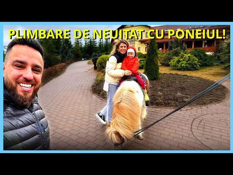 5 MOTIVE pentru care TOPLIȚA MERITĂ VIZITATĂ! Cascada, Pista de Bob, Caii de la Pensiunea Baciu etc.