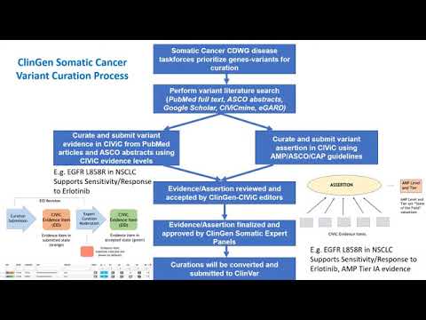 H3Africa-Presentation - H3Africa ClinGen Somatic Variant Curation and Interpretation (Shruti Rao)