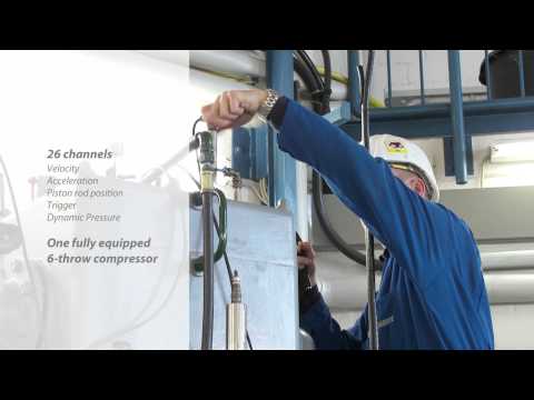 Temporary Monitoring & Consulting