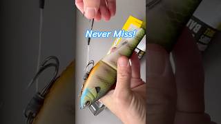 Download lagu Secret Stinger Hack for the Berkley Chop! mp3