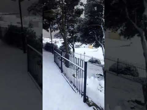 snowy Felixstowe seafront walk 4