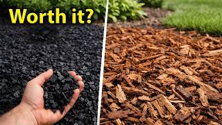 Everything You Need To Know About Rubber Mulch
