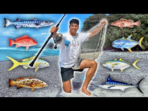 48h XXL Fischarten Angel Challenge: Wieviele Fang' ich?! 👀