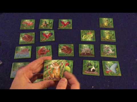 Bower's Game Corner: Magic Feathers Review