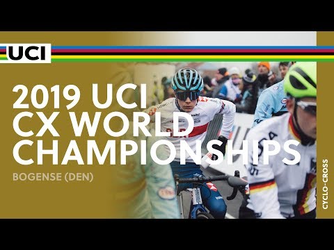 2019 UCI Cyclo-cross World Championships - Bogense  (DEN) / Men Junior
