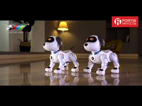 Le Neng - K16 RC Stunt Dog