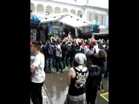 UP!ABC 23 DE NOVEMBRO 2013