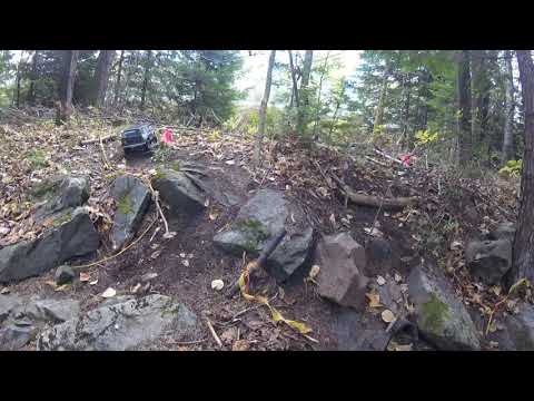 H O G  WARZ COEHILL Part3