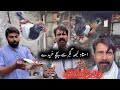 Bought Flying Baby Pigeons From Ustad Labha Gujjar 2 Years Pigeon Flying Experience In Dubai