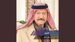 تايبين