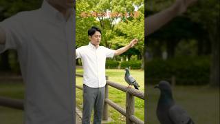 理系研究者に研究を教える文系社会人 #理系 #研究 #研究者 #仕事 #仕事術 #社会人