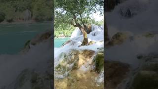 Happy Together❣️#shorts #love #waterfalls