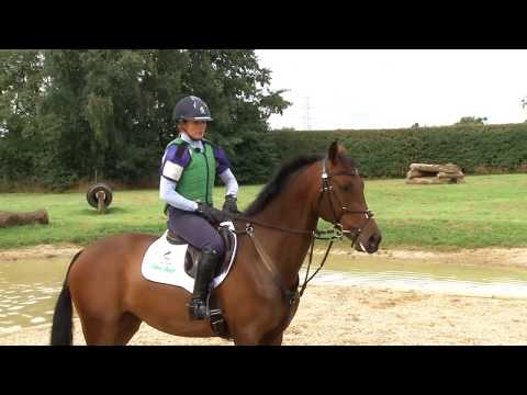 Training the Young Horse for Eventing - Jumping a young horse into and out of water