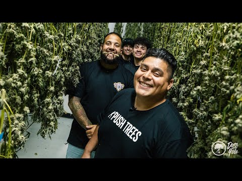 Flew Out Fans for the Dopest Day!!!