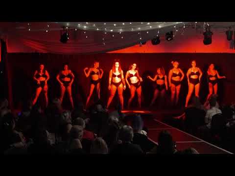 Everybody Wants to Be a Cat: Intermediate-Advanced Burlesque, Student Showcase March 21