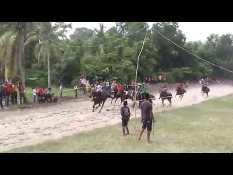 Akhir Kuda PADI A - 03 Okt 2015 @Trek Lacor