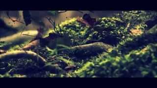 GIRIU DVASIOS - Ruke (Quantec Chacruna Remix)