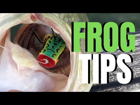FROG Fishing For BASS (Bigguns Caught)