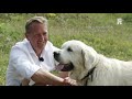 Best of Nature - Westvoorne vogelrijk en duurzaam