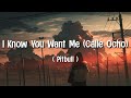 Pitbull I Know You Want Me Calle Ocho Lyrics 1 2 3 4 I Know You Want Me