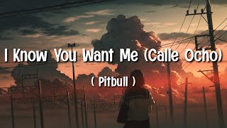 Pitbull - I Know You Want Me (Calle Ocho) (Lyrics) 1,2,3,4, I Know You Want Me