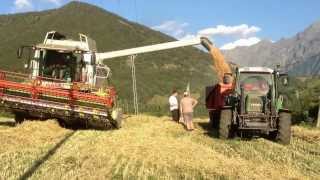 preview picture of video 'Moisson à aspres les corps 2013 -CLAAS LEXION 530 Montana'