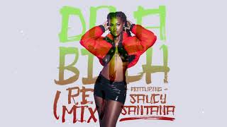 Do A Bitch (Remix) [feat. Saucy Santana] song artwork