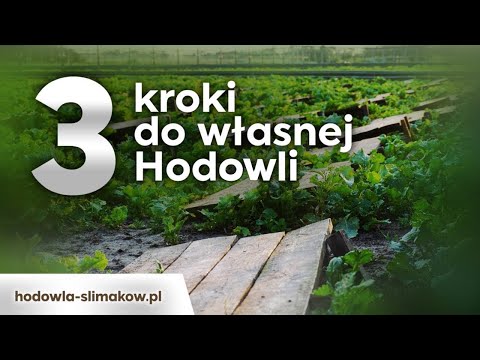 Niezbędne kroki do otwarcia Hodowli Ślimaków