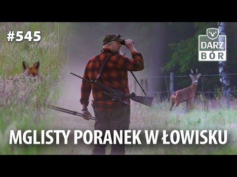 Darz Bór odc. 545 mglisy poranek