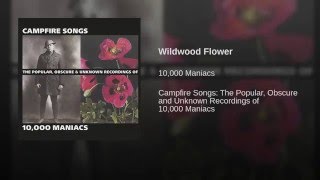 Wildwood Flower Music Video