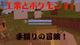 【#1？】遊鬼のなんか適当なPokemon Adventure Reloaded
