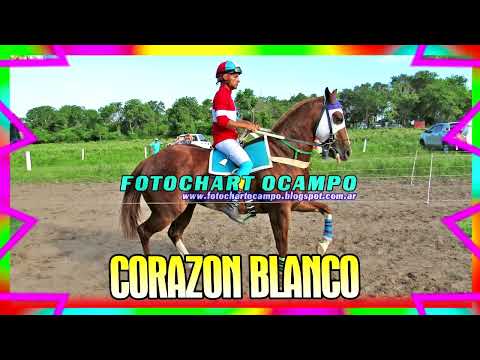 CORAZON BLANCO - La Leonesa - Chaco 10/03/2024