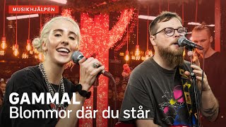 GAMMAL - Blommor där du står / Musikhjälpen 2019