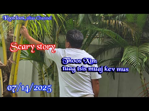 Thoos xim tuag tsis muaj kev mus Scary story 07/14/2025