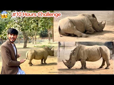 10 HOURS CHALLENGE WITH GANDA 😱