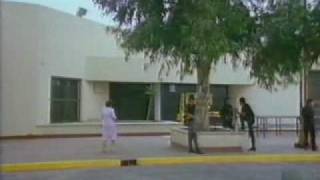 Asesinato de León Trotsky (parte IX)