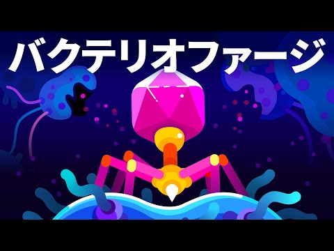 エシェリヒアについて詳しく解説