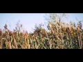 Леша Джуни - Ты не ты (2014, клип) 