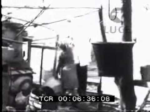 Eccellente-Rosarno  1972