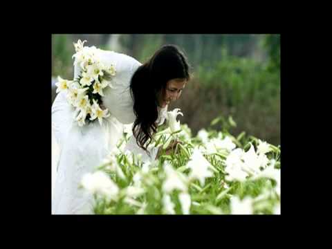 Tình lỡ - Huy Hoàng