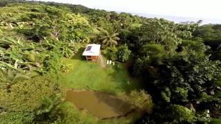 preview picture of video '(pre-edit) Nature Lovers Bluff Beach Eco-Cabin in Bocas del Toro, Panama'