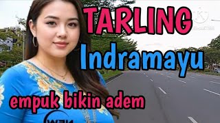Download lagu TARLING TENGDUNG INDRAMAYU_EMPUK BIKIN ADEM @CitraputriAyudia mp3