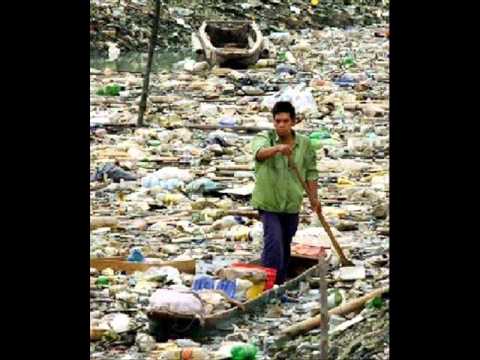 Raizes que tocam - Eco sistema