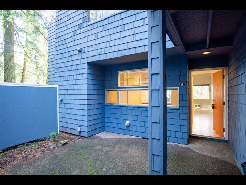 Gorgeous & Bright 1-Bed w/ Wood-Burning Fireplace, W/D, & Private Patio! property video