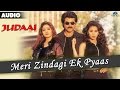 Judaai : Meri Zindagi Ek Pyaas Full Audio Song | Anil Kapoor, Urmila Matondkar & Sridevi |